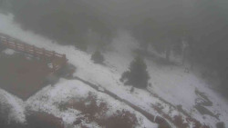 Přístup na běžeckou trať