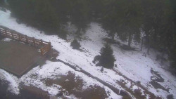 Přístup na běžeckou trať