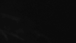 Přístup na běžeckou trať