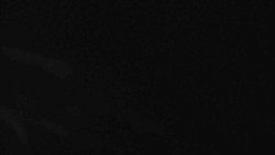 Přístup na běžeckou trať