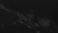 Přístup na běžeckou trať