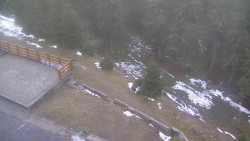 Přístup na běžeckou trať