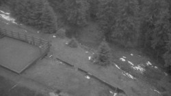 Přístup na běžeckou trať