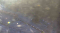 Přístup na běžeckou trať