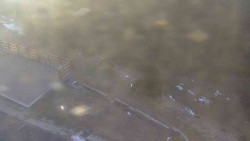 Přístup na běžeckou trať