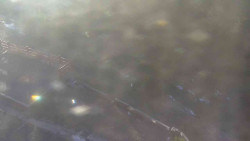 Přístup na běžeckou trať