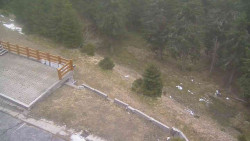 Přístup na běžeckou trať