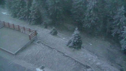 Přístup na běžeckou trať