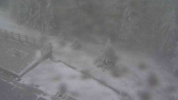 Přístup na běžeckou trať