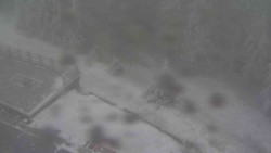 Přístup na běžeckou trať