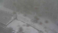 Přístup na běžeckou trať