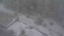 Přístup na běžeckou trať