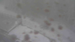 Přístup na běžeckou trať