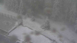 Přístup na běžeckou trať