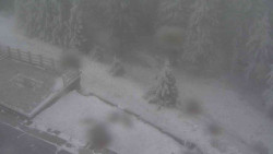 Přístup na běžeckou trať