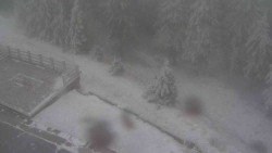 Přístup na běžeckou trať