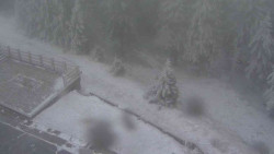 Přístup na běžeckou trať