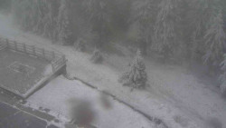 Přístup na běžeckou trať