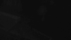 Přístup na běžeckou trať