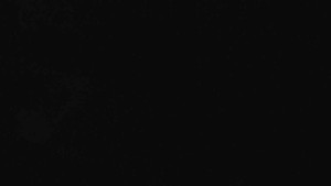 Sporthotel Kurzovní - Přístup na běžeckou trať - 25.12.2025 v 04:25 Sporthotel Kurzovní - Přístup na běžeckou trať - 25.12.2025 v 04:25