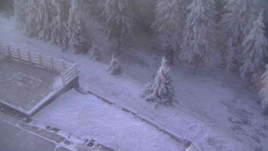 Sporthotel Kurzovní - Přístup na běžeckou trať - 25.12.2025 v 07:30 Sporthotel Kurzovní - Přístup na běžeckou trať - 25.12.2025 v 07:30