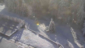 Sporthotel Kurzovní - Přístup na běžeckou trať - 25.12.2025 v 10:30 Sporthotel Kurzovní - Přístup na běžeckou trať - 25.12.2025 v 10:30