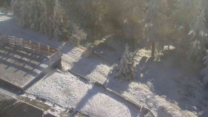 Sporthotel Kurzovní - Přístup na běžeckou trať - 25.12.2025 v 12:15 Sporthotel Kurzovní - Přístup na běžeckou trať - 25.12.2025 v 12:15