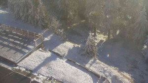 Sporthotel Kurzovní - Přístup na běžeckou trať - 25.12.2025 v 12:40 Sporthotel Kurzovní - Přístup na běžeckou trať - 25.12.2025 v 12:40