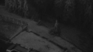 Sporthotel Kurzovní - Přístup na běžeckou trať - 25.12.2025 v 16:40 Sporthotel Kurzovní - Přístup na běžeckou trať - 25.12.2025 v 16:40