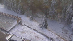 Přístup na běžeckou trať