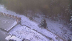 Přístup na běžeckou trať