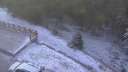 Přístup na běžeckou trať