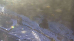 Přístup na běžeckou trať