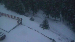 Přístup na běžeckou trať