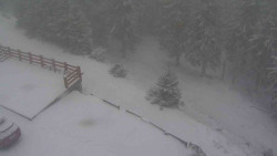 Přístup na běžeckou trať