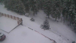 Přístup na běžeckou trať