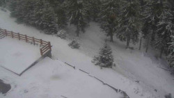 Přístup na běžeckou trať