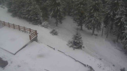 Přístup na běžeckou trať