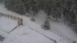 Přístup na běžeckou trať