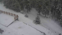 Přístup na běžeckou trať