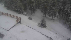 Přístup na běžeckou trať