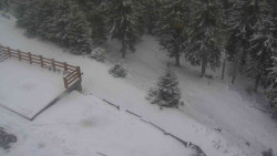 Přístup na běžeckou trať