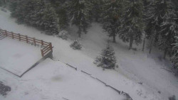 Přístup na běžeckou trať