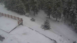 Přístup na běžeckou trať