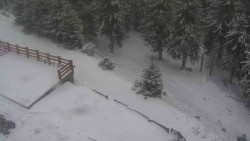 Přístup na běžeckou trať