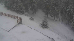 Přístup na běžeckou trať