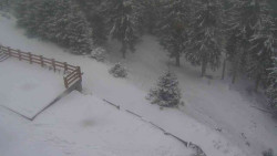 Přístup na běžeckou trať