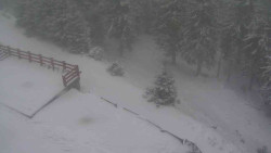 Přístup na běžeckou trať