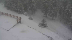 Přístup na běžeckou trať