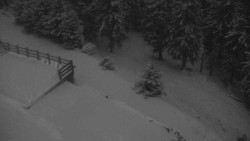 Přístup na běžeckou trať